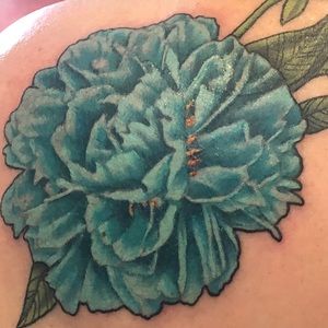 Meet your Posher, Tammy